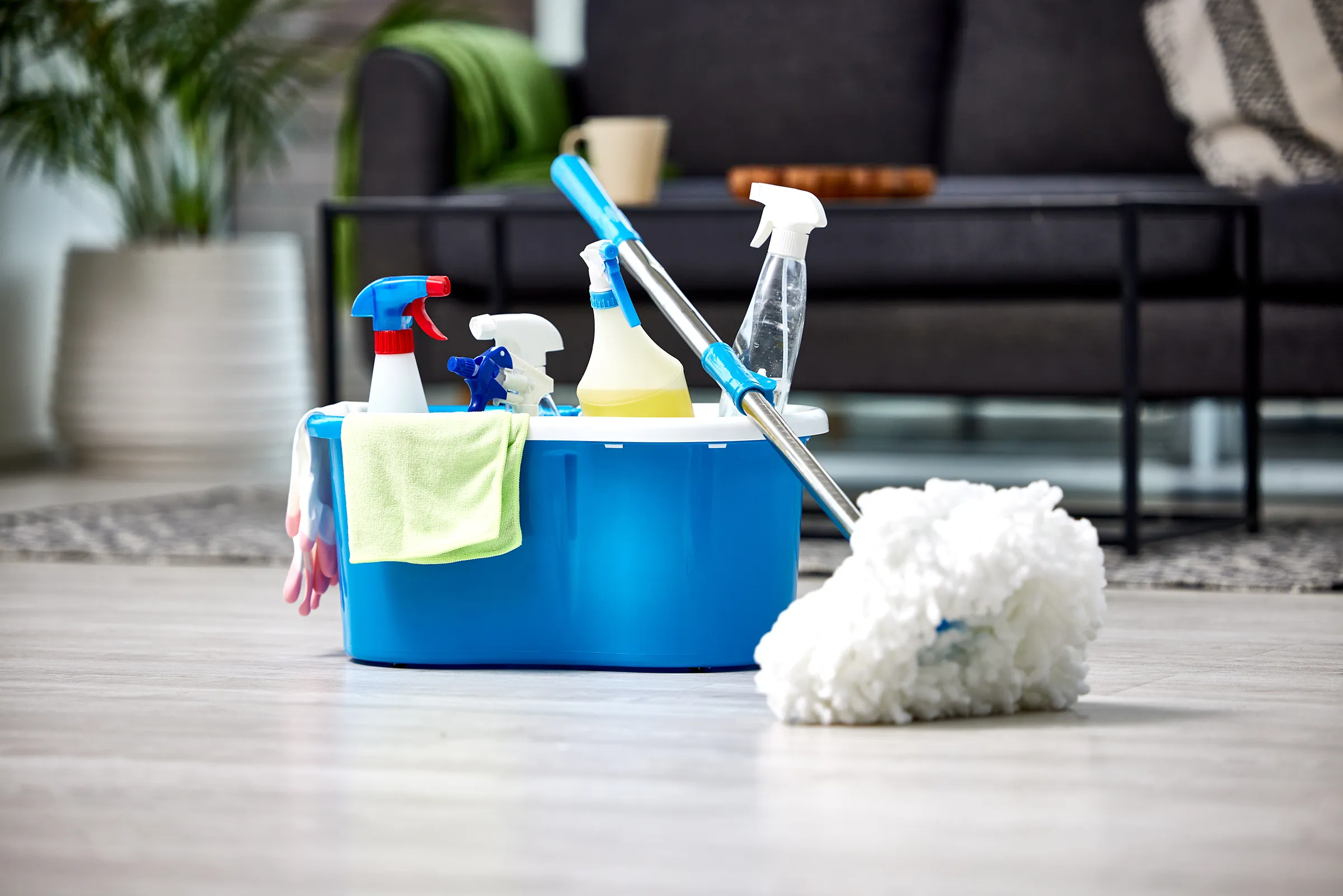 Cleaning caddy with spray bottles and cloth on wooden floor near a mop in a living room with sofa, coffee table, and indoor plant